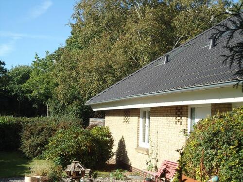 Foto - Einfamilienhaus zum Kaufen in Harrislee
