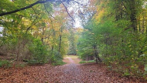 Foto - Psychotherapeutische Praxis Köln – Behandlungsraum zu vermieten