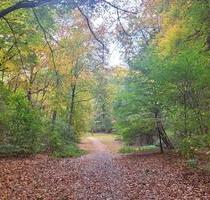 Psychotherapeutische Praxis Köln – Behandlungsraum zu vermieten - Frechen