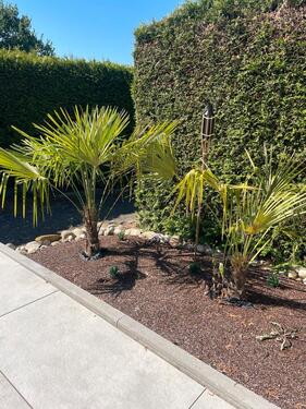 Foto - 1 Zimmer Etagenwohnung in Sennfeld