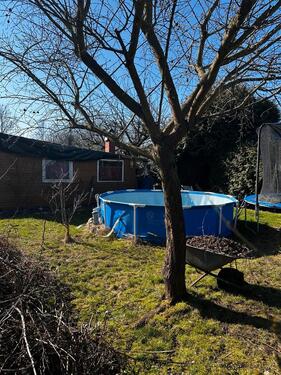 Foto - Kleingarten Schrebergarten im Kleingartenverein Frasenweg