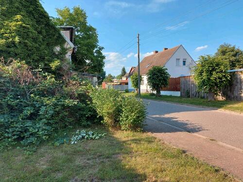 Foto - Einfamilienhaus in Erxleben zum Kaufen