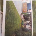 Foto - Einfamilienhaus zum Kaufen in Diesdorf