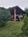 Foto - Einfamilienhaus in Lindau (Bodensee)