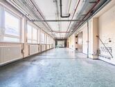 Foto - Untergeschoss-Lagerfläche für vielseitige Nutzung – Ab 2 EURm²!*