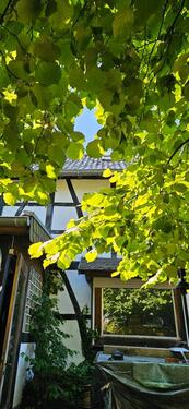 Foto - 6 Zimmer Einfamilienhaus zum Kaufen in Kall