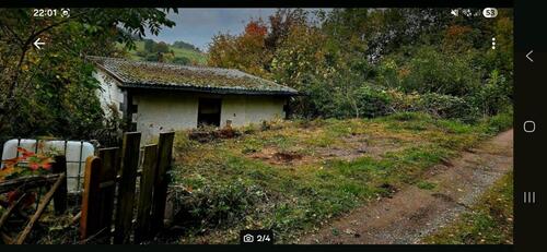 Foto - Einfamilienhaus in Rothenbuch zum Kaufen