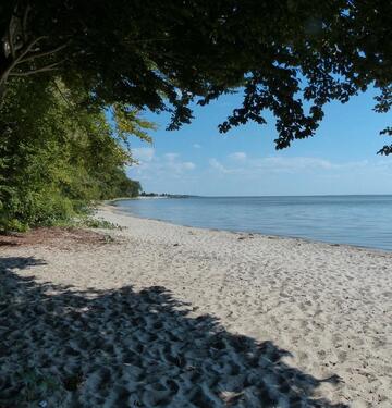 Foto - Ferienhaus Usedom - 85,00&nbsp;EUR Kaltmiete,