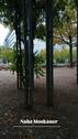 Foto - andere in Düsseldorf