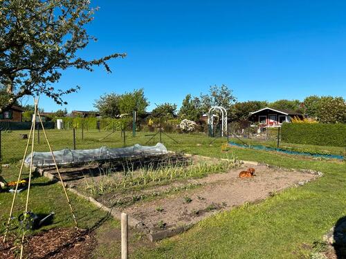 Foto - Grundstück in Stralsund
