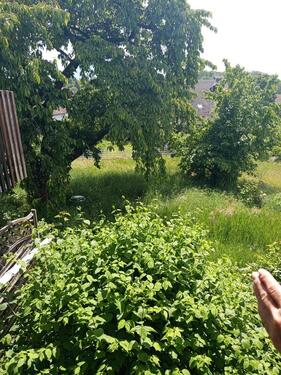 Foto - Doppelhaushälfte in Bad Bergzabern zum Kaufen