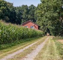 Großes Gartengrundstück mit Wohnhaus, Nebengebäuden u. Ackerland - Lathen