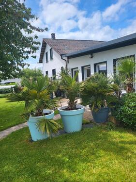 Foto - Haus, Zimmer ,Monteurwohnung - 65,00 EUR Kaltmiete,