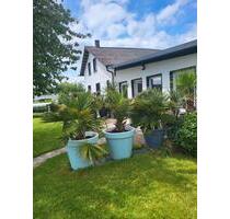 Haus, Zimmer ,Monteurwohnung - 65,00 EUR Kaltmiete, in Osann-Monzel (PLZ: 54518)