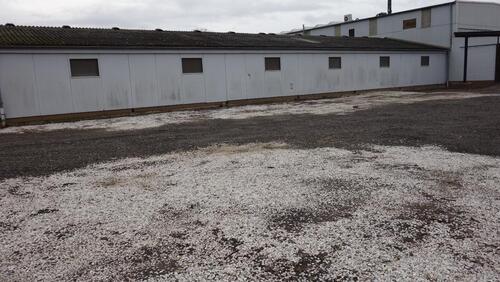 Foto - andere in Weilerswist