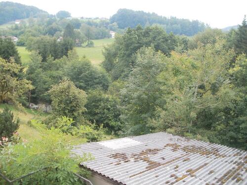Foto - Grundstück mit Jungwald Hanglage Fürstenstein -Reuth