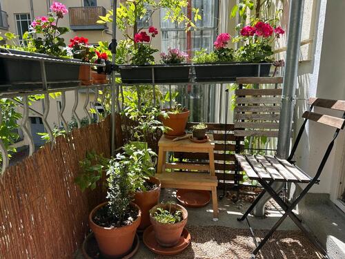 Foto - 2 Zimmer Etagenwohnung zur Miete in Berlin