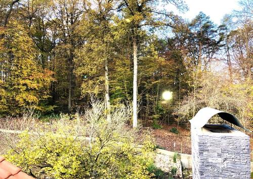 Foto - 2 Zimmer Erdgeschoßwohnung zur Miete in Sinzing