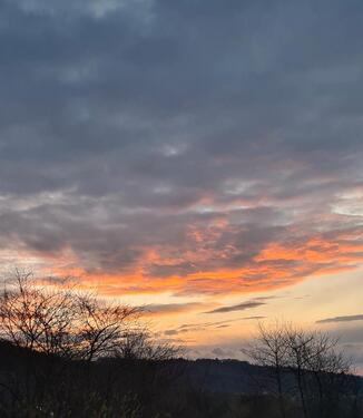 Foto - 7 Zimmer Einfamilienhaus zum Kaufen in Beckum