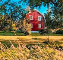 Ferienhaus, Südschweden, Västergötland, Sauna, Boot & Garten - Schallstadt