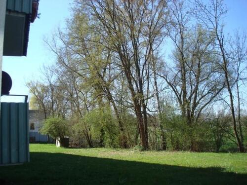 Foto - Charmante 3-Zimmer-Wohnung mit Balkon – gepflegt, gut gelegen