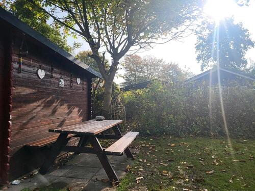Foto - andere in Damp