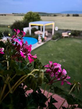 Foto - Modernes Haus am Feldrand mit Garten, Pool & Kamin – 7 Zimmer