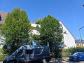 Foto - Etagenwohnung in Nürnberg zur Miete