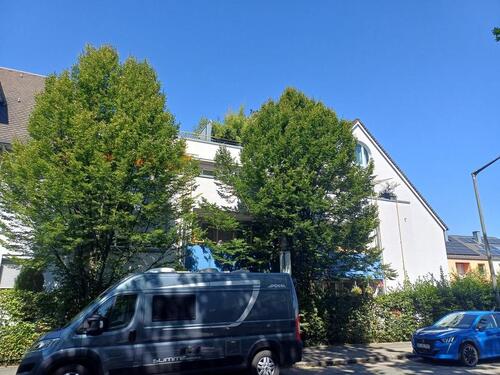 Foto - Etagenwohnung in Nürnberg zur Miete