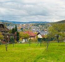 Charmantes Haus mit 3 Wohnungen am Waldrand mit Panoramablick - Herborn