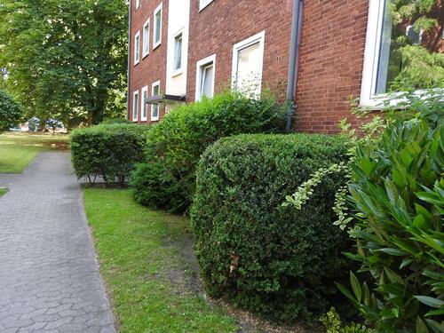 Foto - Etagenwohnung zur Miete in Hannover