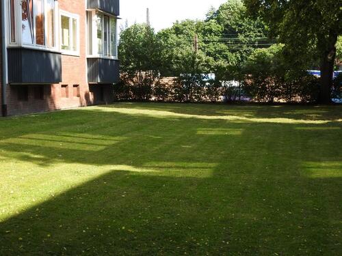 Foto - Etagenwohnung in Hannover zur Miete