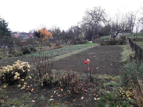 Foto - Kleingarten in Langenstein - 120,00 EUR Kaltmiete, ca.  0,00 m²