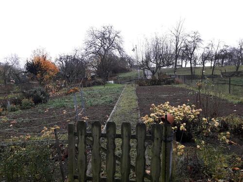 Foto - Grundstück zur Miete in Blankenburg (Harz)
