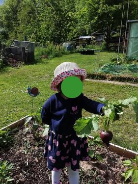 Foto - Grundst&uuml;ck in Großheirath zur Miete