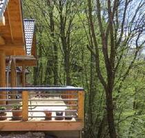 Block-Ferienhaus mit schöner Terrasse, mit Schaukel in den Bäume - Hellenthal