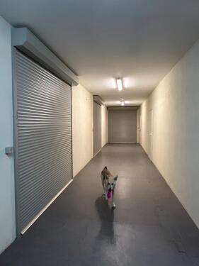 Foto - Lagerraum 6,7 qm mit Fahrstuhl 94 €