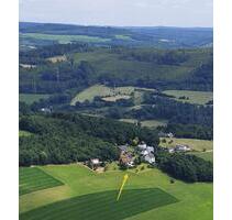 Gepfl. Einfamilien - Haus in ruhiger Ortsrandlage in Mittelhof - Wissen