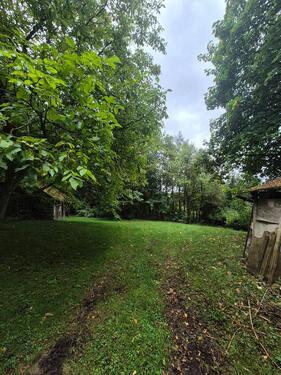 Foto - 2 ZKB Wohnung Haustiere Wilkommen