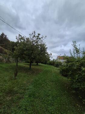 Foto - 3 Zimmer Etagenwohnung zur Miete in Marxheim