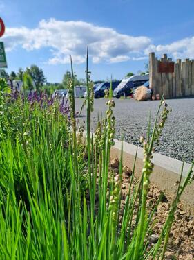 Foto - andere zur Miete in Kirchenlamitz