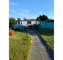 Schrebergarten - 1.000,00 EUR Kaltmiete, ca.  0,00 m² in Lübeck (PLZ: 23558) Sankt Lorenz Nord