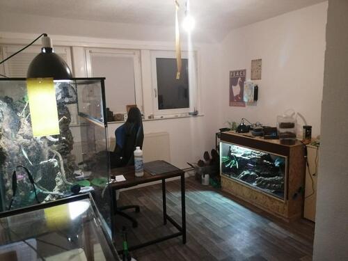 Foto - 3 Zimmer Etagenwohnung zur Miete in Moringen