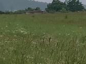 Foto - Freizeitgrundstück Acker - 12,00&nbsp;EUR Kaltmiete, ca.&nbsp; 0,00&nbsp;m&sup2;
