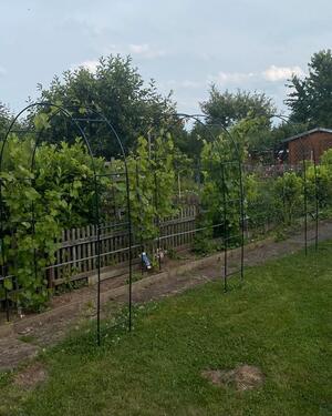 Foto - Grundst&uuml;ck in Gotha