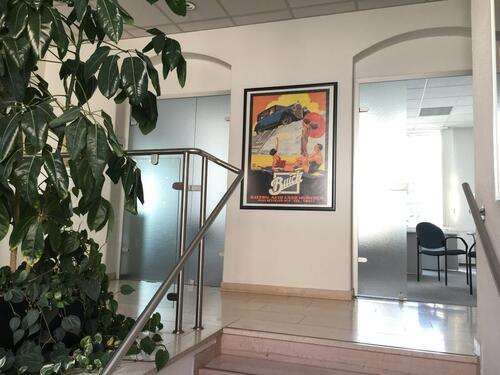 Foto - andere in Dresden