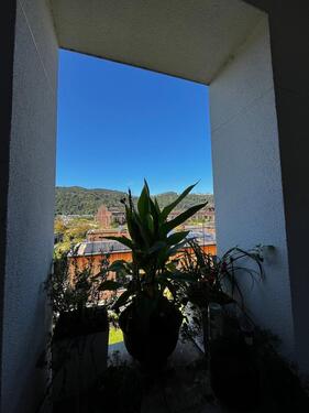 Foto - Etagenwohnung zum Kaufen in Trier