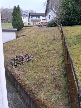 Foto - Einfamilienhaus in Pelm zum Kaufen