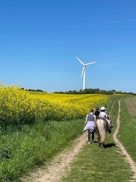 Foto - andere in Dörphof