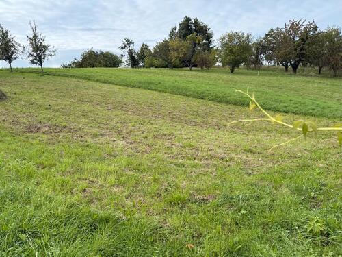 Foto - Grundstück zur Miete in Bühl